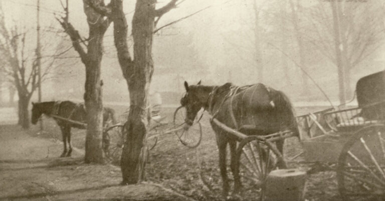 Looking Back Exhibition at William King Museum of Art